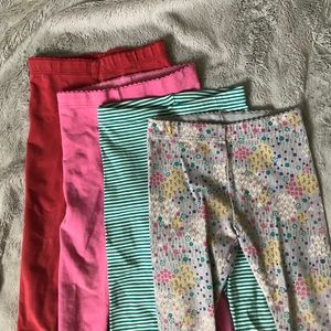 Tea Collection Leggings Bundle